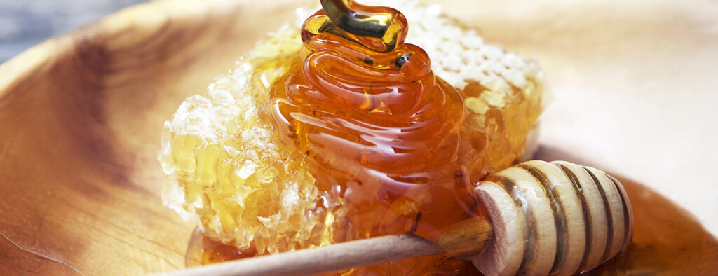 honey_1300x500_04