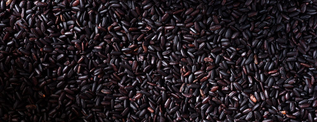 rice_1300x500_03